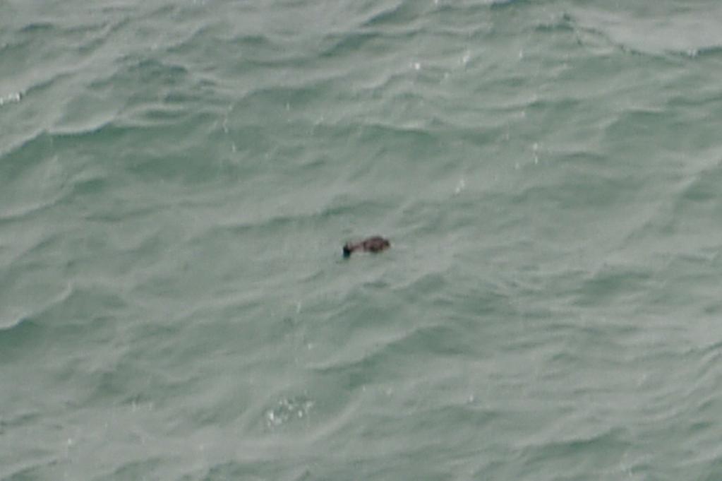 AirAsia plane wreckage found, bodies being recovered 4 B6FTWPbCEAEV5SB