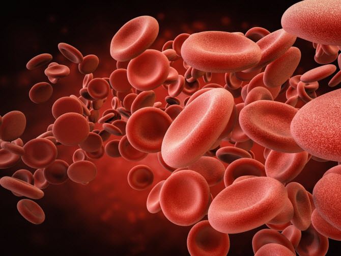 Young blood an elixir that prevents age-related diseases, study reveals 2 qLK6TZZ