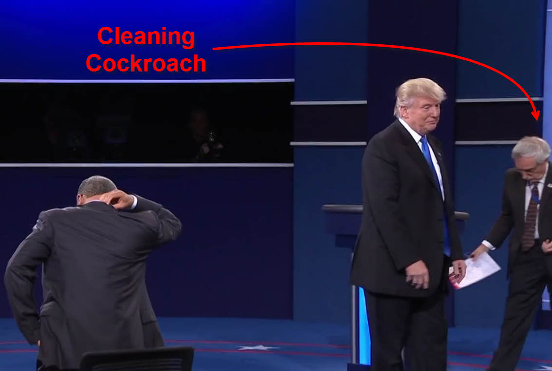 cleaning cockroach