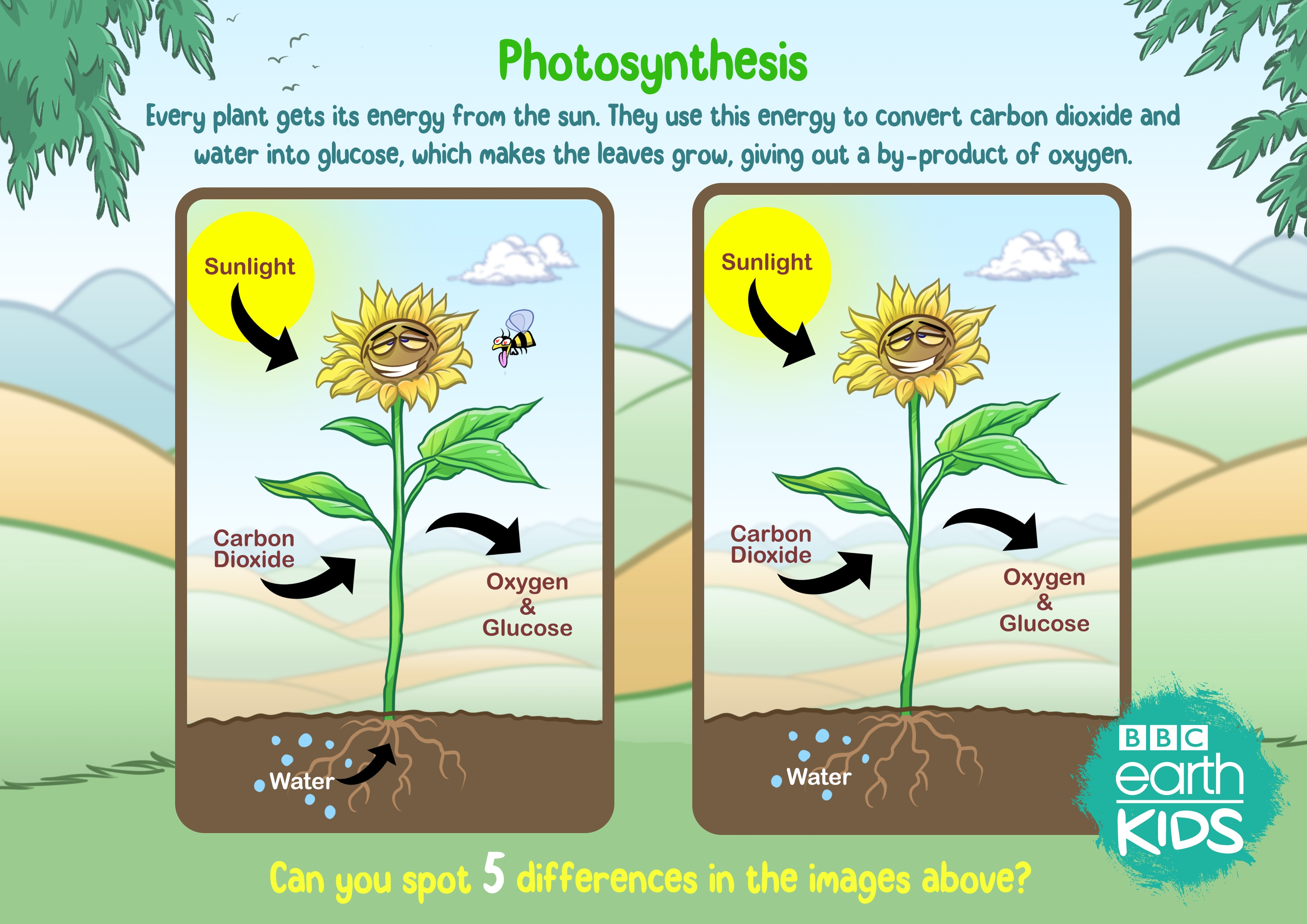Photosynthesispsd