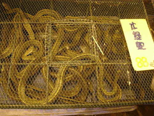 small snakes chinese market