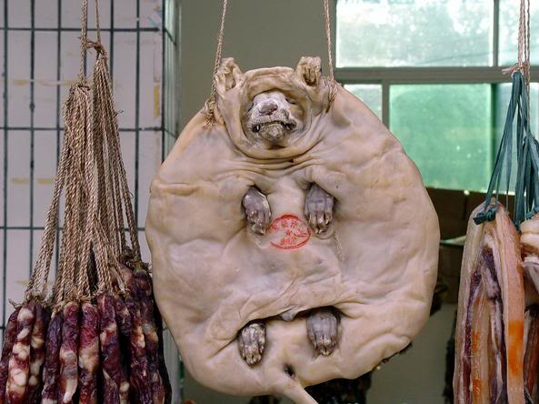 dog2