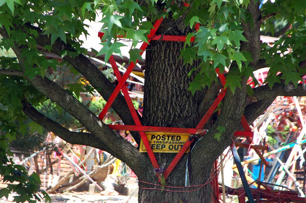 May 2010 093