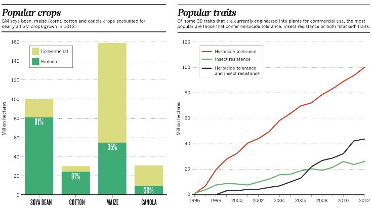 gm crops soy online 735